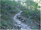 Zadnji travnik - Obel kamen (Olševa)
